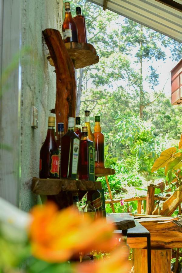 Ohiya Forest Lodge Extérieur photo