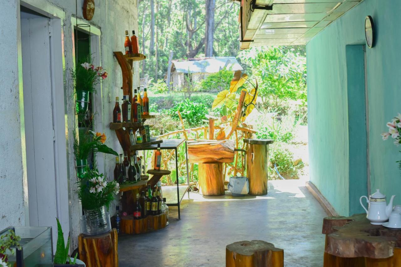 Ohiya Forest Lodge Extérieur photo